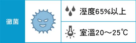 黴菌 濕度|11 種有效減輕室內黴菌過敏症狀的方法 